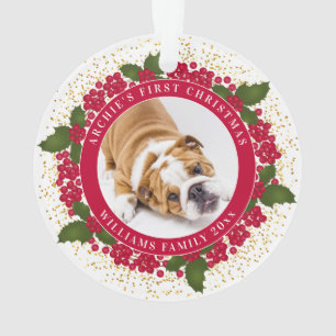 Ornamento Foto personalizada de Pet do seu primeiro Natal