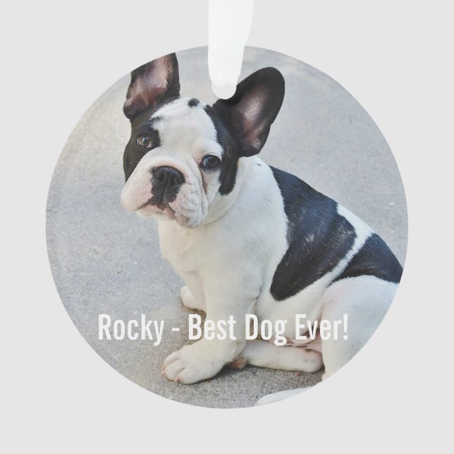 Ornamento Foto personalizada do Bulldog e Nome do Bulldog (Frente)