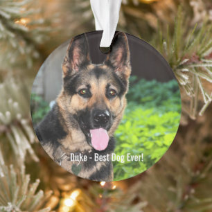 Ornamento Foto personalizada do cão German shepherd, Nome d