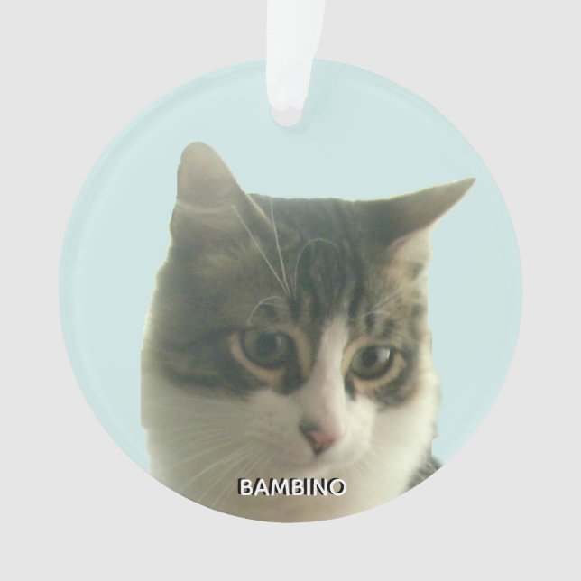 Ornamento Foto personalizada do Cat Tabby personalizada em a (Frente)