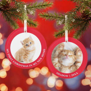 Ornamento Foto Personalizada do Gato Gatinho do Primeiro Nat