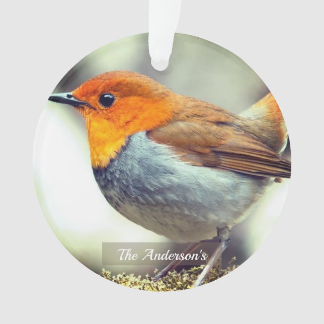 Ornamento Foto personalizada do pássaro Robin (Frente)