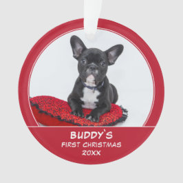 Ornamento Foto Personalizada Pet de Natal Primeiro Puppy