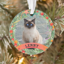 Foto Pet Bonita, Cat Berry Wreath, Natal