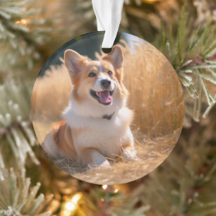 Ornamento Foto Pet Personalizada