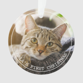 Ornamento Foto Pet Simples