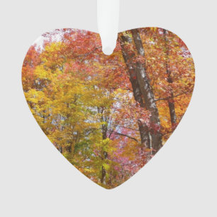 Ornamento Fotografia de Outono de Árvores Laranja e Amarelas