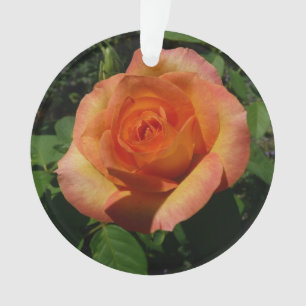 Ornamento Fotografia Floral Laranja Peach Rosa
