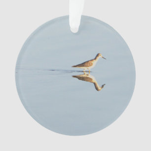 Ornamento Fotográfico de Reflexão de Aves Marinhas