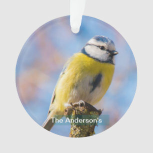 Ornamento Fotomontagem Personalizada de um Passarinho Azul e