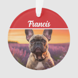Ornamento French Bulldog Name and Photo Holiday Christmas
