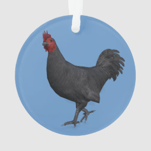 Ornamento Galo Preto