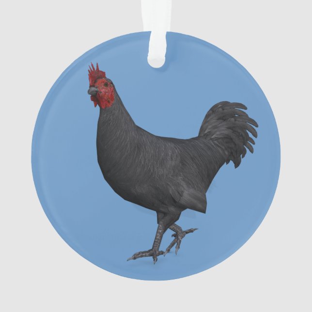 Ornamento Galo Preto (Verso)