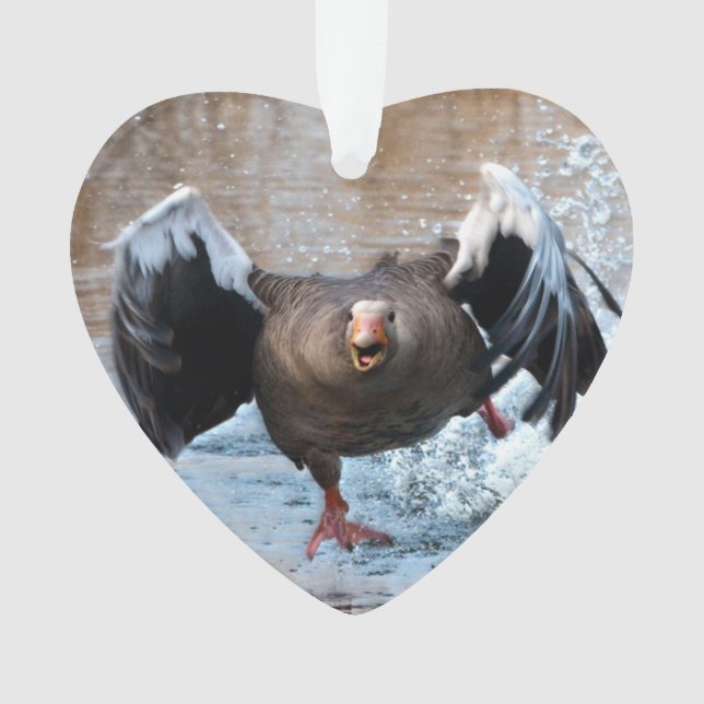 Ornamento Ganso de pato bravo europeu na perseguição (Frente)