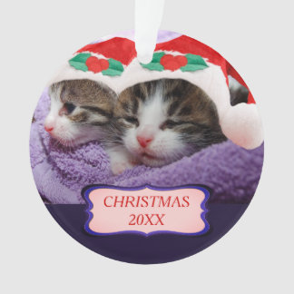 Ornamento Gatinhos com chapéu vermelho de Papai Noel 20XX