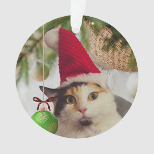 Ornamento Gato Elfo