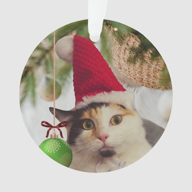 Ornamento Gato Elfo  (Frente)