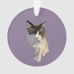 Ornamento Gato Ragdoll, Roxo Empoeirado