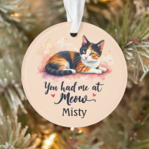 Ornamento Gato Tricolor Você Me Conquistou com Meow Aquarela
