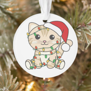 Ornamento Gatos De Inverno De Natal