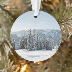 Ornamento Gelo e neve Allgäu Bavaria Alemanha