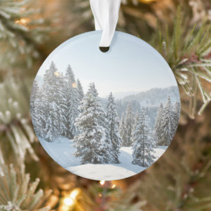 Ornamento Gelo e neve Allgäu Bavaria Sul da Alemanha