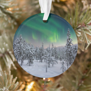 Ornamento Gelo e neve   Paisagem de inverno, Finlândia