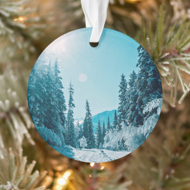 Ornamento Gelo e neve | Reserva Natural de Altai, Rússia (Árvore)