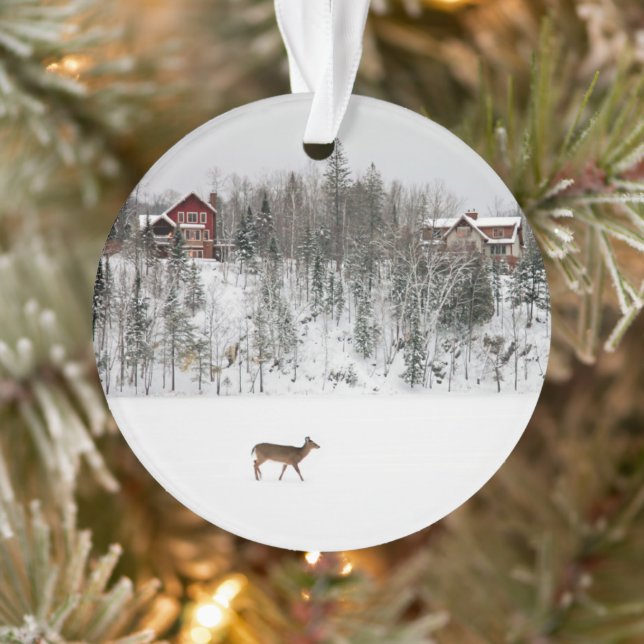 Ornamento Gelo e neve | Veado em Snow Quebec, Canadá (Árvore)