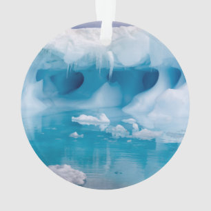 Ornamento Gelo na Antártica
