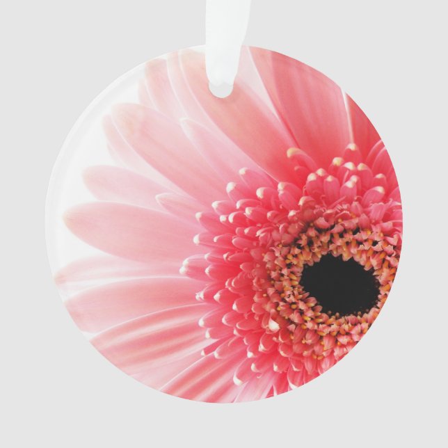Ornamento Gerbera Daisy Poster (Frente)