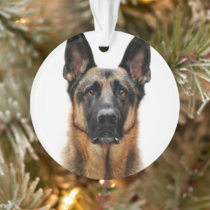 Ornamento German shepherd Sentado
