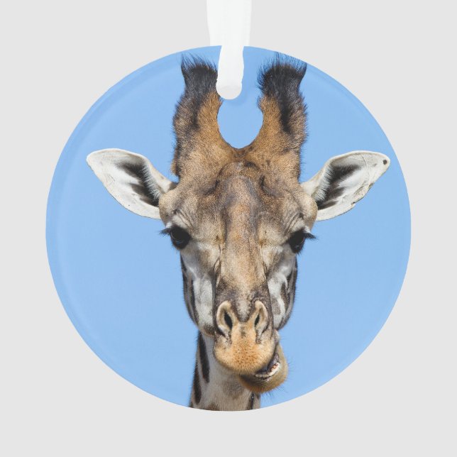 Ornamento Girafa (Verso)