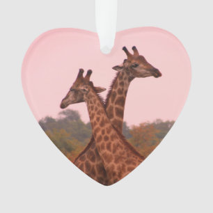 Ornamento Girafas com céu rosa