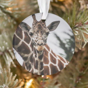 Ornamento Giraffe cabeça Giraffe pelo animal impressão afric