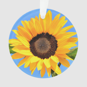Ornamento Girassol Amarelo contra Sol no Céu Azul - Verão
