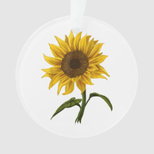 Ornamento Girassol Sunshine Floral Watercolor Flor
