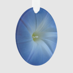 Ornamento Glória da Manhã Azul Celestial Fechada