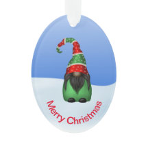 Gnomo Whimsical em um Natal