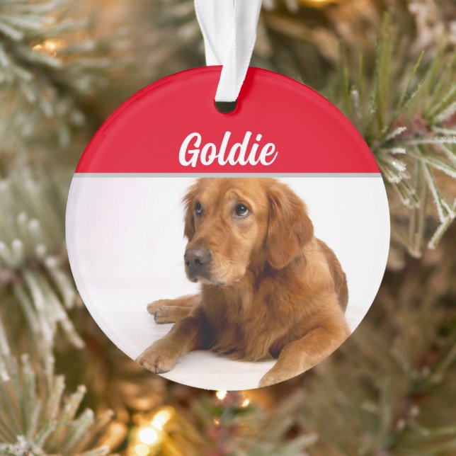 Ornamento Golden Retriever with Name and Photo Christmas (Árvore)