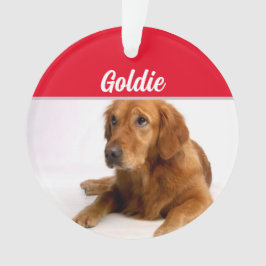 Ornamento Golden Retriever with Name and Photo Christmas