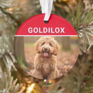 Ornamento Goldendoodle com nome de cão Foto Natal