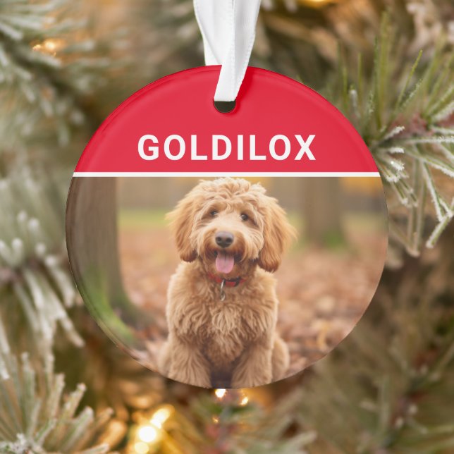 Ornamento Goldendoodle com nome de cão Foto Natal (Árvore)