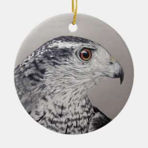 ornamento Goshawk