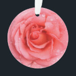 Ornamento Gotas Românticas de Água Rosa Rosa Rosa Vermelha<br><div class="desc">Rosa vermelha e rosa romântica com gotas de água.</div>