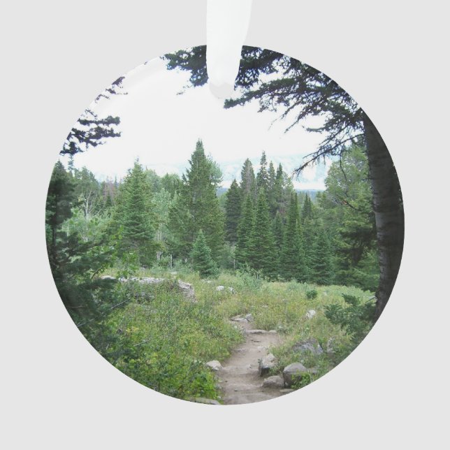Ornamento Grand Teton Trail (Frente)