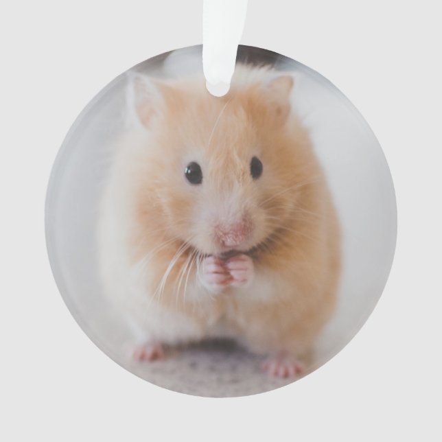 Ornamento hamster (Frente)