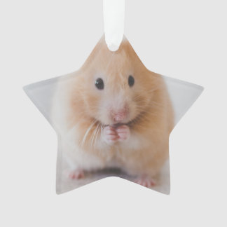 Ornamento hamster