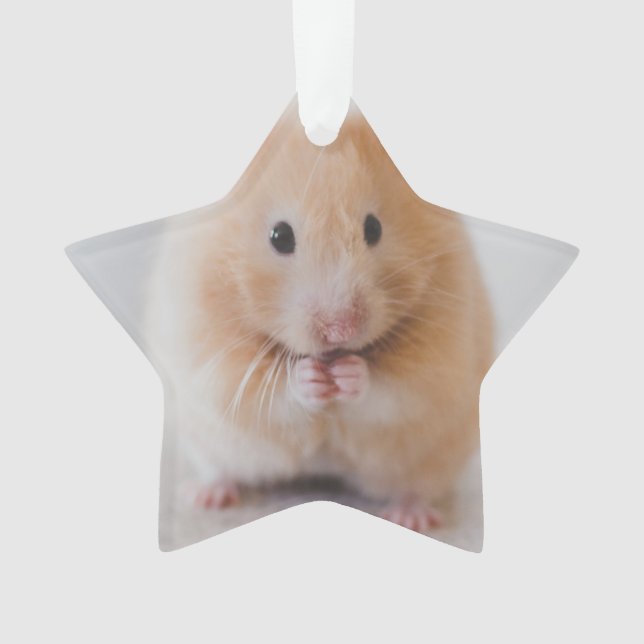 Ornamento hamster (Frente)