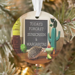 Ornamento Hedgehog Sunscreen e Margaritas